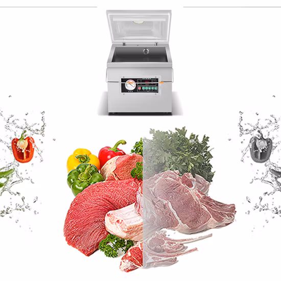 Table Top Automatic Food Vacuum Packing Machine Dz300