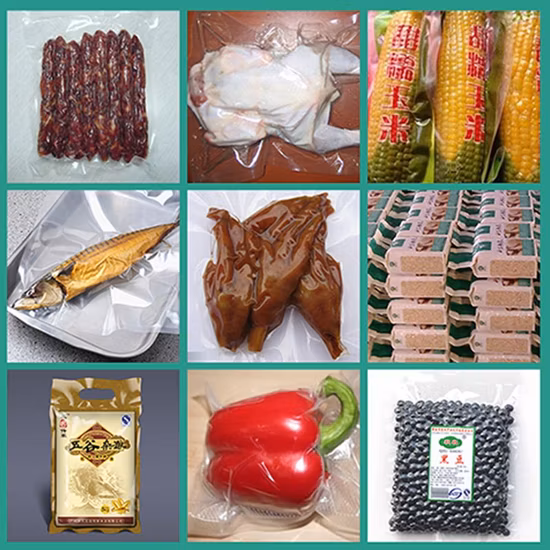 탁상용 자동 식품 진공 포장기 Dz300